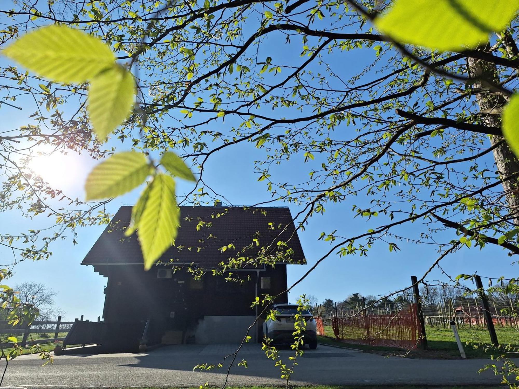 Fokovci Logarska Koca 빌라 외부 사진